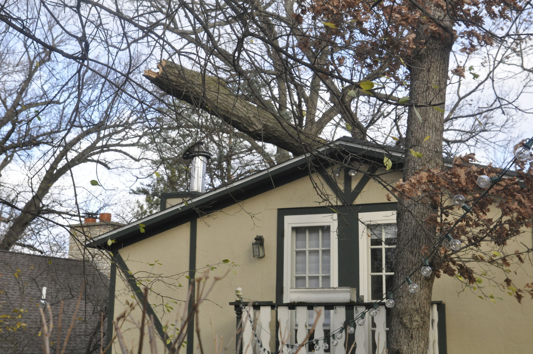 Tree limb on Fontana roof